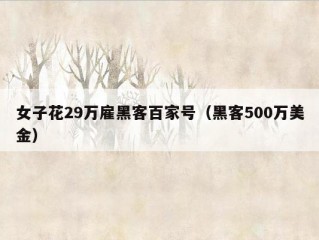 女子花29万雇黑客百家号（黑客500万美金）