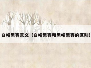 白帽黑客意义（白帽黑客和黑帽黑客的区别）