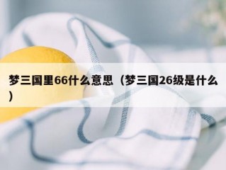 梦三国里66什么意思（梦三国26级是什么）