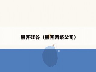 黑客硅谷（黑客网络公司）