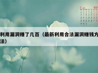 利用漏洞赚了几百（最新利用合法漏洞赚钱方法）