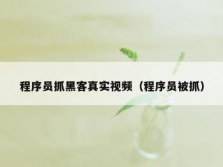 程序员抓黑客真实视频（程序员被抓）