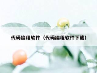 代码编程软件（代码编程软件下载）