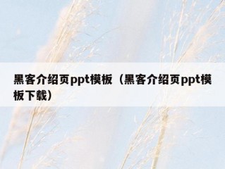 黑客介绍页ppt模板（黑客介绍页ppt模板下载）