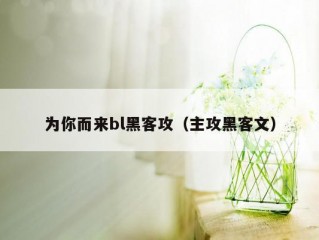 为你而来bl黑客攻（主攻黑客文）