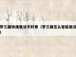 梦三国快捷施法不好用（梦三国怎么智能施法）