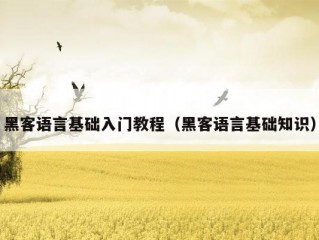 黑客语言基础入门教程（黑客语言基础知识）