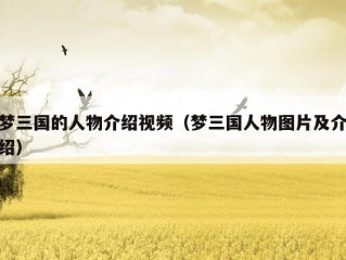 梦三国的人物介绍视频（梦三国人物图片及介绍）