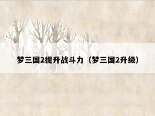 梦三国2提升战斗力（梦三国2升级）