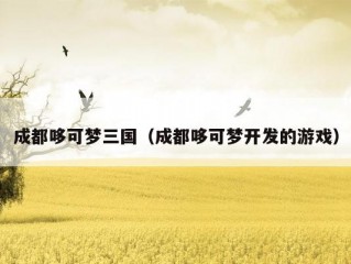 成都哆可梦三国（成都哆可梦开发的游戏）