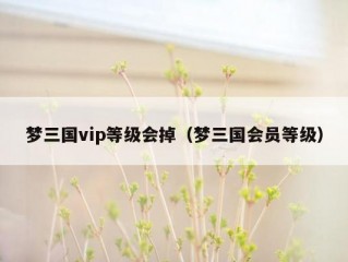 梦三国vip等级会掉（梦三国会员等级）