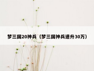 梦三国20神兵（梦三国神兵速升30万）