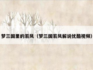 梦三国里的若风（梦三国若风解说优酷视频）