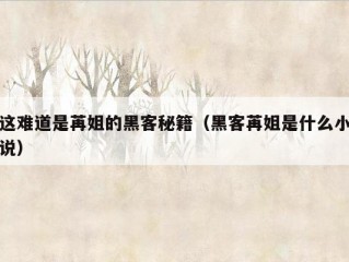 这难道是苒姐的黑客秘籍（黑客苒姐是什么小说）