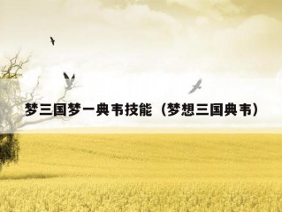 梦三国梦一典韦技能（梦想三国典韦）