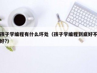 孩子学编程有什么坏处（孩子学编程到底好不好?）