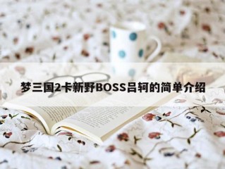 梦三国2卡新野BOSS吕轲的简单介绍