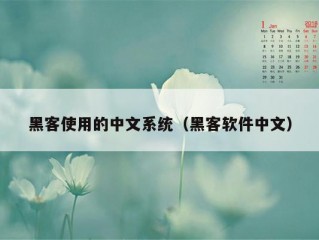 黑客使用的中文系统（黑客软件中文）