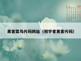 黑客菜鸟代码网站（初学者黑客代码）