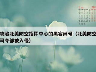 攻陷北美防空指挥中心的黑客绰号（北美防空司令部被入侵）