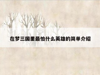 在梦三国里最怕什么英雄的简单介绍