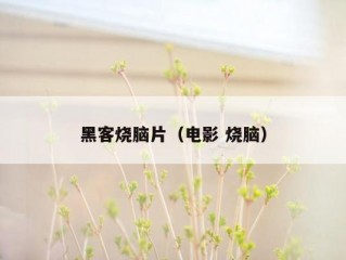 黑客烧脑片（电影 烧脑）