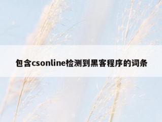 包含csonline检测到黑客程序的词条