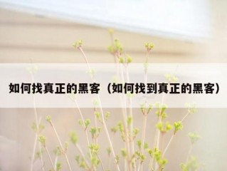 如何找真正的黑客（如何找到真正的黑客）