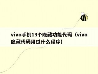 vivo手机13个隐藏功能代码（vivo隐藏代码用过什么程序）