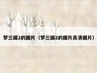 梦三国2的图片（梦三国2的图片高清图片）