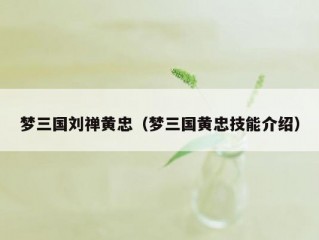 梦三国刘禅黄忠（梦三国黄忠技能介绍）