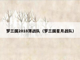 梦三国2018薄战队（梦三国星月战队）