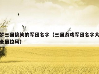 梦三国搞笑的军团名字（三国游戏军团名字大全最拉风）