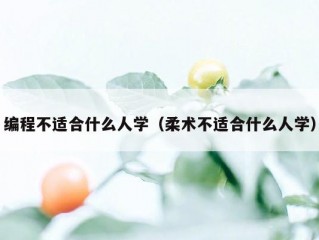 编程不适合什么人学（柔术不适合什么人学）