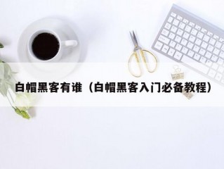 白帽黑客有谁（白帽黑客入门必备教程）