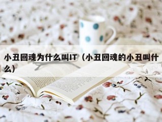 小丑回魂为什么叫IT（小丑回魂的小丑叫什么）