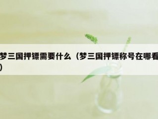 梦三国押镖需要什么（梦三国押镖称号在哪看）