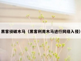 黑客侦破木马（黑客利用木马进行网络入侵）