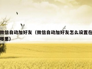 微信自动加好友（微信自动加好友怎么设置在哪里）