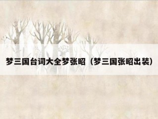 梦三国台词大全梦张昭（梦三国张昭出装）