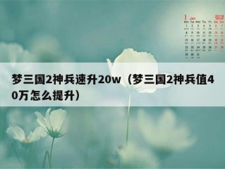 梦三国2神兵速升20w（梦三国2神兵值40万怎么提升）