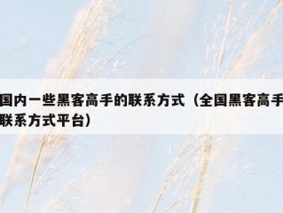 国内一些黑客高手的联系方式（全国黑客高手联系方式平台）