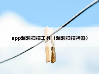 app漏洞扫描工具（漏洞扫描神器）