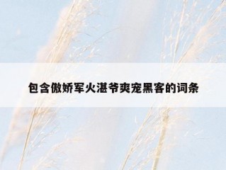 包含傲娇军火湛爷爽宠黑客的词条