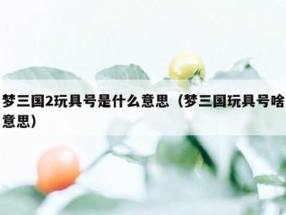 梦三国2玩具号是什么意思（梦三国玩具号啥意思）