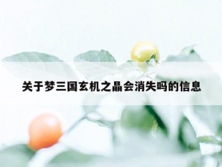 关于梦三国玄机之晶会消失吗的信息