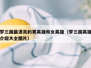 梦三国最漂亮的男英雄和女英雄（梦三国英雄介绍大全图片）