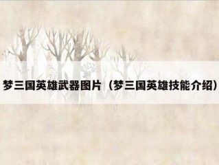 梦三国英雄武器图片（梦三国英雄技能介绍）