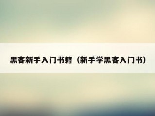 黑客新手入门书籍（新手学黑客入门书）