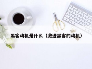 黑客动机是什么（激进黑客的动机）